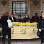 Photo Gallery: Why There Are so Many People With Daffodills Around? 3 Daffodills 3