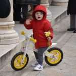 Photo Gallery: Why There Are so Many People With Daffodills Around? 4 Daffodills 4