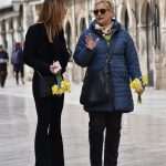 Photo Gallery: Why There Are so Many People With Daffodills Around? 6 Daffodills 6
