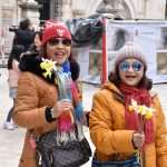 Photo Gallery: Why There Are so Many People With Daffodills Around? 9 Daffodills 9