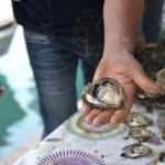 Photo Gallery from Mali Ston: Oyster, the Taste of Tradition 40 Festival of Oysters 46