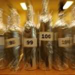 5th Dubrovnik Festiwine: Meet the Winemakers, Taste Exquisite Wines... 5 Festiwine 2018 2