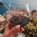 5th Dubrovnik Festiwine: Meet the Winemakers, Taste Exquisite Wines... 6 Festiwine 2018 3
