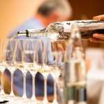 5th Dubrovnik Festiwine: Meet the Winemakers, Taste Exquisite Wines... 10 Festiwine 2018 7