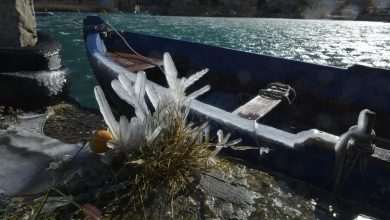 EU Commission's Action Plan for a Greener and Cleaner Economy 10 Ice Frozen