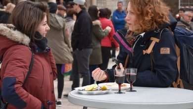 Photo Gallery: Oyster Lovers Came to Stradun 17 Oysters Stradun 11