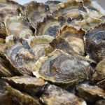 Photo Gallery: Oyster Lovers Came to Stradun 2 Oysters Stradun 2