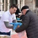 Photo Gallery: Oyster Lovers Came to Stradun 7 Oysters Stradun 7