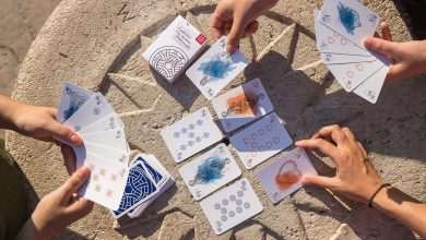 Croatian City Stories: Dubrovnik's History and Culture, Rebranded 1 ccstories kristina mirosevic 1