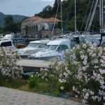 Photo Gallery From Dubrovnik: Our ACI Marinas Raised the Blue Flag 11 Blue Flag ACI Dubrovnik 11