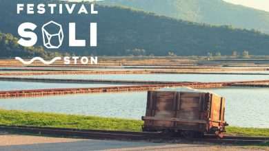 A Festival That Should Not be Taken With a Grain of Salt! 29 Salt Festival 2018 2