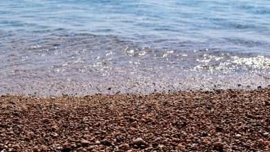 Oceans are Essential: More Efforts from EU to Protect Marine Environment 18 The Sea Abides