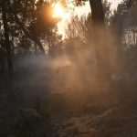 Photo Gallery: Fight Against the Fire on Pelješac 10 Firefighters Peljesac 10