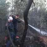 Photo Gallery: Fight Against the Fire on Pelješac 13 Firefighters Peljesac 13