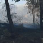 Photo Gallery: Fight Against the Fire on Pelješac 23 Firefighters Peljesac 23