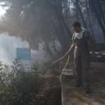 Photo Gallery: Fight Against the Fire on Pelješac 24 Firefighters Peljesac 24