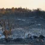 Photo Gallery: Fight Against the Fire on Pelješac 4 Firefighters Peljesac 4