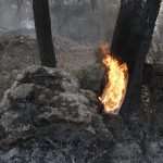 Photo Gallery: Fight Against the Fire on Pelješac 8 Firefighters Peljesac 8