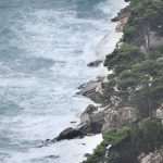 Photo Gallery: 'Jugo', as Seen by Our Photographer Zvonimir 16 Jugo 16