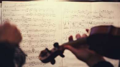 'Dubrovnik's Salon Music' Through November 2 String Quartet