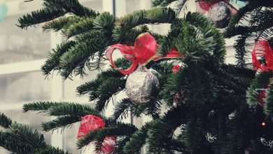 Firefighters' Message: Be Careful With Christmas Decorations 16 Christmas Ornaments