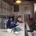 The Fish Market Returns to the Old Town 2 Fish Market Peskarija 2