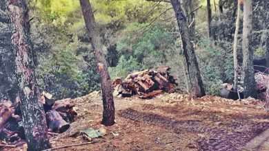 Lokrum Zero Waste Island 2 1