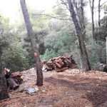 Lokrum: Zero Waste Island 2 Lokrum Zero Waste Island 2