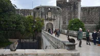 New Winter Schedule Charter With 30 Thousand Guests 1 Pile Gate