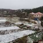 Photo Gallery Made by Our Readers: Let it Snow! 2 Snow January 2019 2