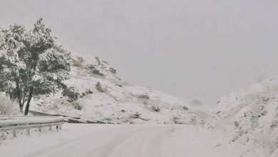 Photo Gallery Made by Our Readers: Let it Snow! 2 Snow January 2019 4 1