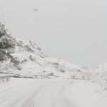 Photo Gallery Made by Our Readers: Let it Snow! 4 Snow January 2019 4