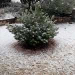 Photo Gallery Made by Our Readers: Let it Snow! 5 Snow January 2019 5