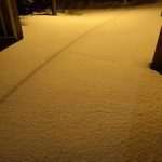 Photo Gallery Made by Our Readers: Let it Snow! 7 Snow January 2019 7