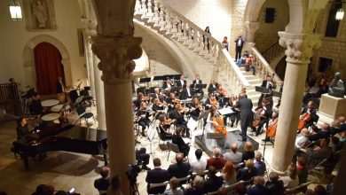 Dubrovnik Symphony Orchestra