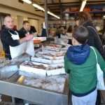 Photo Gallery: Colors of Fish and Green Market 10 Fish and Green Market Dubrovnik