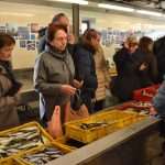 Photo Gallery: Colors of Fish and Green Market 14 Fish and Green Market Dubrovnik