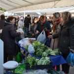 Photo Gallery: Colors of Fish and Green Market 18 Fish and Green Market Dubrovnik