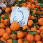 Photo Gallery: Colors of Fish and Green Market 25 Fish and Green Market Dubrovnik