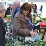 Photo Gallery: Colors of Fish and Green Market 26 Fish and Green Market Dubrovnik