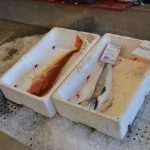 Photo Gallery: Colors of Fish and Green Market 3 Fish and Green Market Dubrovnik