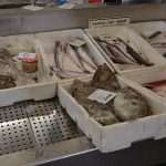 Photo Gallery: Colors of Fish and Green Market 4 Fish and Green Market Dubrovnik