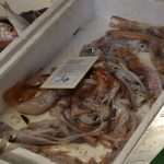 Photo Gallery: Colors of Fish and Green Market 5 Fish and Green Market Dubrovnik