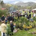 Video & Photo Gallery: Waiting for the Easter 4 Easter Osojnik 53
