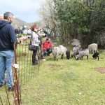 Video & Photo Gallery: Waiting for the Easter 50 Easter Osojnik 7
