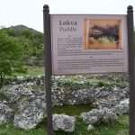 Video & Photo Gallery: Easter in Primorje 41 Easter in Primorje 41