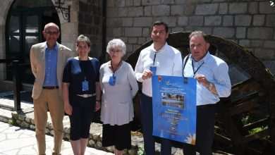 'Golden Flower' Jury Members Share Their Impressions About Cavtat 1 Golden Flower Nominee 4