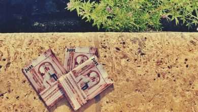 Video & Photo Gallery: Take a Walk With Just Dubrovnik 1 JDSE III 2019 5 1