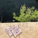 Video & Photo Gallery: Take a Walk With Just Dubrovnik 5 JDSE III 2019 5