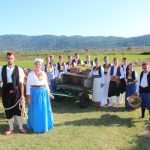 Photo Gallery: Grape Harvesting in Konavle 13 Grape Harvesting in Konavle 13
